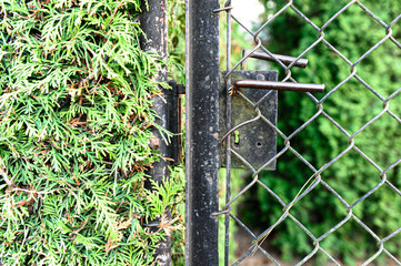 Stare wejście do tajemniczego ogrodu