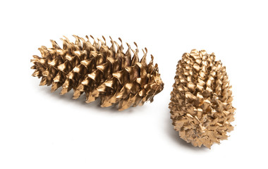 Naklejka na ściany i meble golden pine cones isolated