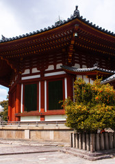One of the buildings of the Kohfukuji Temple with citrus Kumquat fruit tree in the foreground in Nara