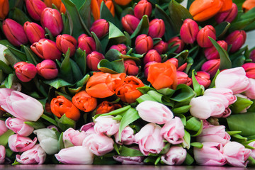 Obraz na płótnie Canvas A huge multicolor bouquet of tulips lay on table.