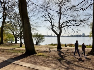 Fototapete bei efototapeten.de bestellen   