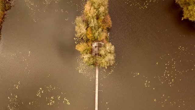 The drone slowly descends over the house. A wooden bridge leads to the house. Around the house trees grow densely. Trees stagger from the wind. Golden time.