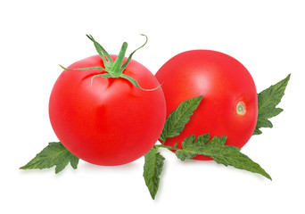 Fresh tomato  with leafs isolated on white background with clipping path