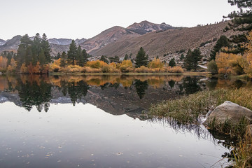 reflecctive mountain lake with pines aspens grass and mountain