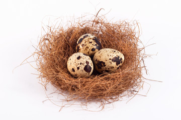 Naklejka na ściany i meble Stylish frame background with quail Easter eggs with copy space for text. isolated on a white background. Easter concept.