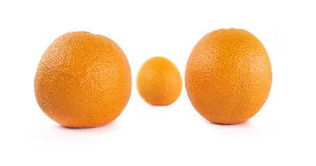 Апельсины на белом фоне 