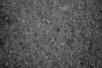 earth after spring with small lumps in black and white