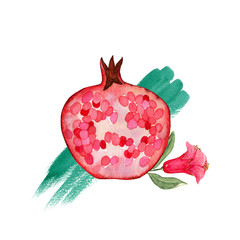 Watercolor illustrations of pomegranate for wedding cards, romantic prints, fabrics, textiles and scrapbooking. - 336517167