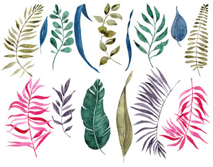 Watercolor set of illustration of tropical leaves, for wedding cards, romantic prints, fabrics, textiles and scrapbooking.