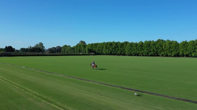Polo player at full speed