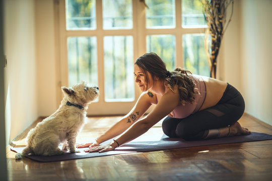 Dog Yoga Images – Browse 20,830 Stock Photos, Vectors, and Video | Adobe  Stock