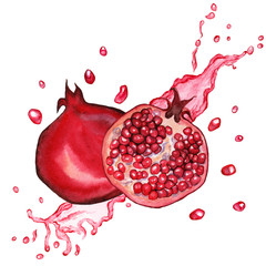 Cute watercolor hand drawn illustration of pomegranates isolated on a white background, for Valentine's Day greeting card, wedding card, romantic prints and scrapbooking. - 336517359