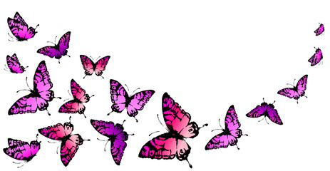 butterfly52.