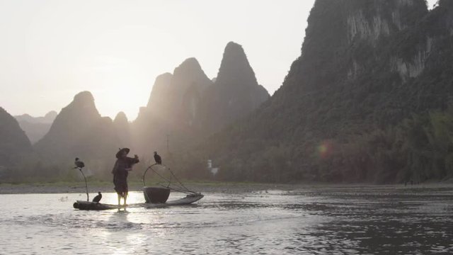 A Chinese Cormorant fisherman casting then retrieving his net which turns golden in the evening light on the Li River as the sun sets behind karst towers