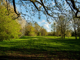 OLYMPUS DIGITAL CAMERA - SUNNY PARK