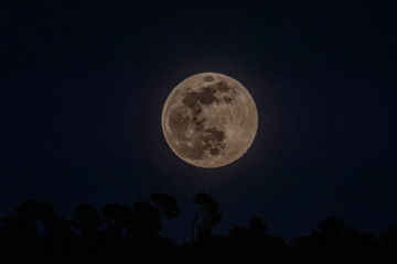 Fototapeta na wymiar Pleine lune moon