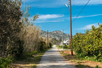 Naklejka premium Man walking in the distance on Village road to the mountains