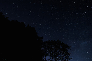 Fototapeta premium starry night sky