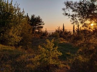 sunset in the forest.Thessaloniki,Greece
