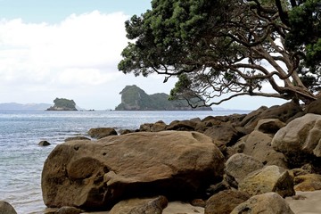 Motueka Island vom Stingray Beach