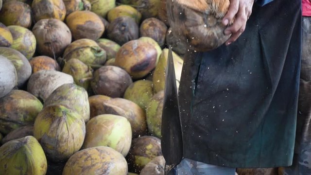 worker man open coconut shell by old sharp knife it peeling coconut husk. Thai style traditional peeling coconut fiber that has been peeled off in the plantation. Peeling sharp knife very danger.