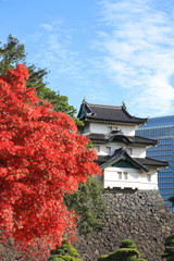 Beautiful autumn leaves at imperial palace tokyo Japan