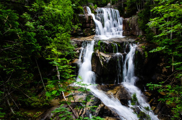 Fototapeta na wymiar Cascading mountain stream with long exposure water blur
