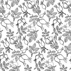 Dogrose leaves flowers pattern doodle hand drawn graphics vector