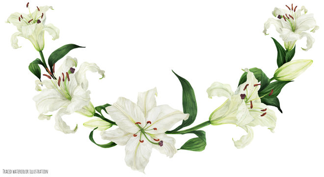 Tropical floral traced watercolor arc with oriental white lilies