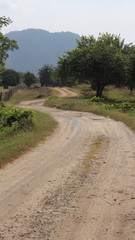 Camino de trocha