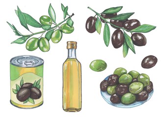 et of olives and products from them, marker style.
