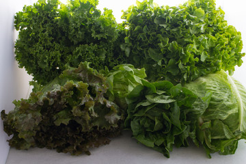 Different kind of lettuces for a delicioues salad