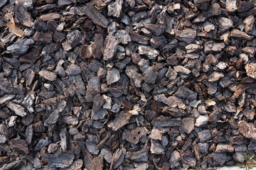 Small pieces of tree bark. Crushed tree bark texture background. Brown tree bark for decoration or for playground.