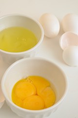 Egg