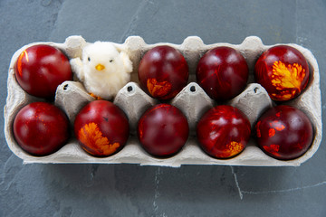 Easter colored eggs and one fluffy chicken in a cardboard box on a gray background.