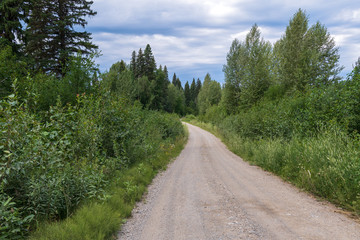 Fototapeta na wymiar A gravel road through the forest in rural British Columbia, Canada