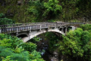 Fototapeta na wymiar Old Bridge over Creek in Lush Tropical Jungle