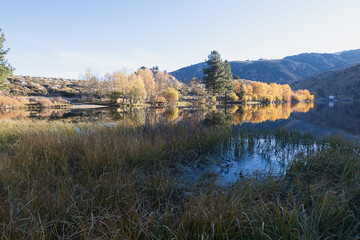 long grass on shoreline of crystal clear lake reflecting autumn trees