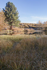 Fototapeta na wymiar long grass on shoreline of crystal clear lake reflecting autumn trees