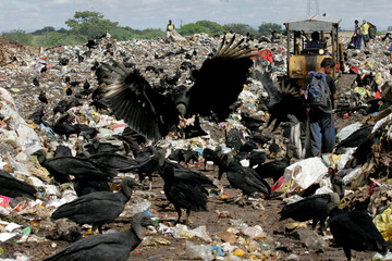 garbage recycling material collectors