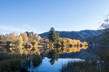 shoreline of crystal blue lake mirrorning autumn leaves