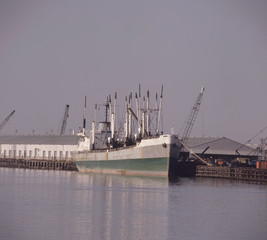 cargo ship in the port