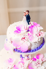 Wedding cake with newlywed figures