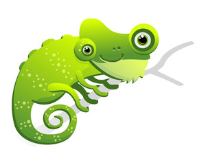 Obraz premium Vector illustration of a funny cartoon chameleon isolated on a white background. Can represent nature, wildlife, eco friendly, environment protection, conservation, the tropics, forest, animals.