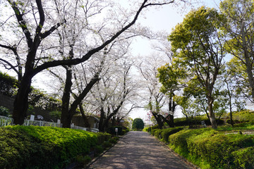 根岸森林公園