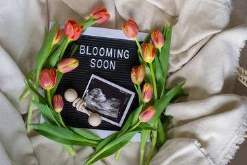Spring Pregnancy Announcement with Tulips