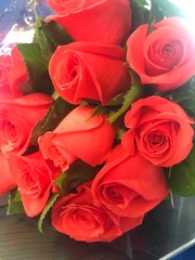 Obraz premium Flores erika