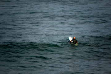 Surfer