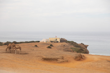 A solitary beach in the north of morroco