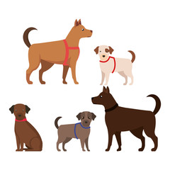 group of cute dogs mascots vector illustration design